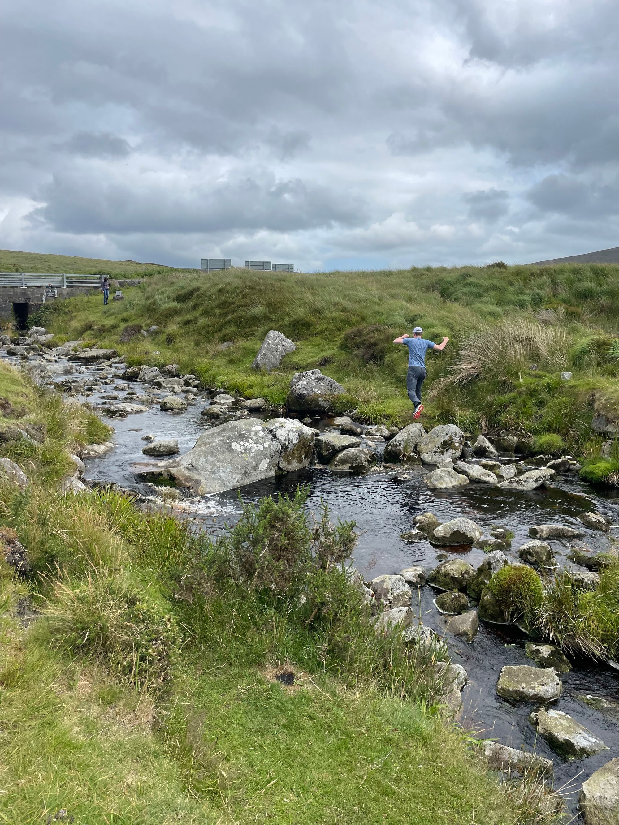Day 24: Glendalough, Sally Gap and Skryne