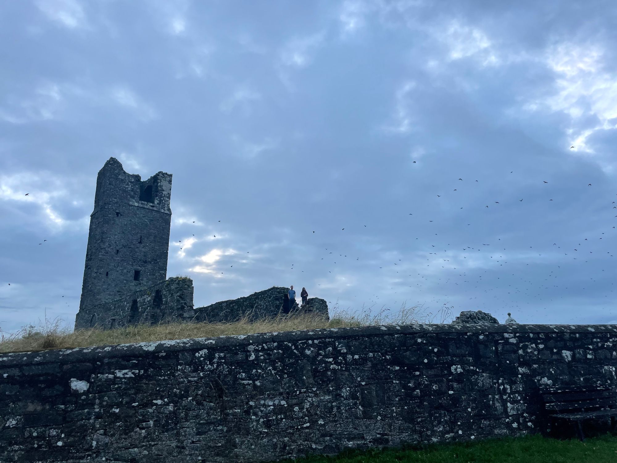 Day 24: Glendalough, Sally Gap and Skryne